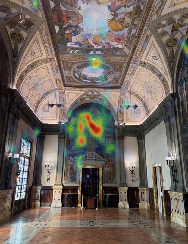 B Young Room: eye-tracking (diplomats)